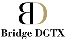 Bridge DGTX logo
